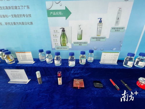新區(qū)與新城 臨港產(chǎn)業(yè)起航,文旅康養(yǎng)連片,精細化工和新材料有了冠軍 茂名縣域 平臺發(fā)展觀察