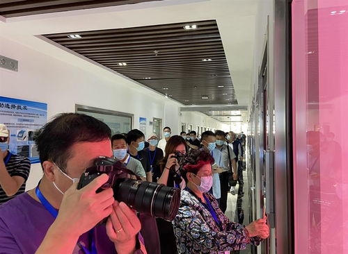 壽光積極推進蔬菜種業(yè)發(fā)展