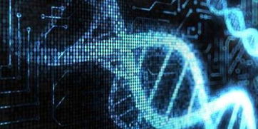 迄今最連續(xù)人類基因組組裝完成 只用單一測序技術(shù)