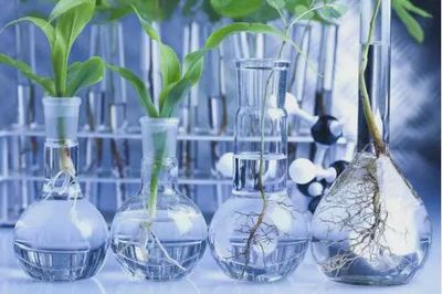 健康生物科技護(hù)膚品牌"赫拉尼爾",賦予女性真實自然之美