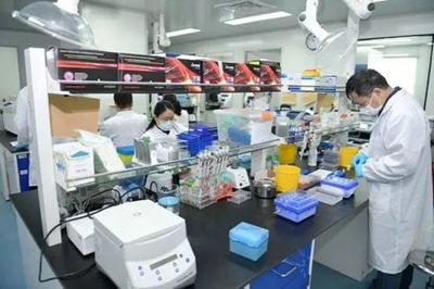 新藥研發(fā)、病毒檢測····你最關注的,國投投資的醫(yī)藥類企業(yè)都在助力!