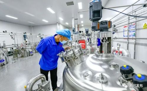 許昌市委書記市長周末帶隊赴漯,想學什么