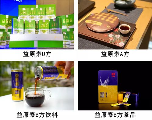 專家齊聚 尖峰論道, 微生物科技 能為普洱茶發(fā)展帶來(lái)多大想象力