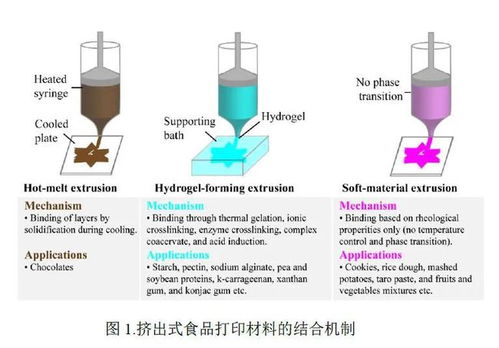 沈陽(yáng)農(nóng)業(yè)大學(xué)食品學(xué)院國(guó)家漿果加工技術(shù)研發(fā)專(zhuān)業(yè)中心 李斌教授團(tuán)隊(duì) 3d食品打印 植物性材料在擠出式食品打印中的應(yīng)用
