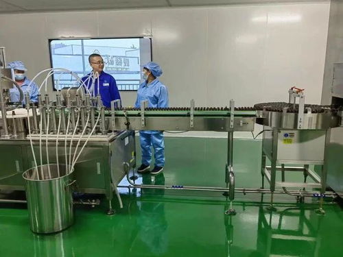 北川 科技賦能 點燃 產(chǎn)業(yè)發(fā)展新引擎