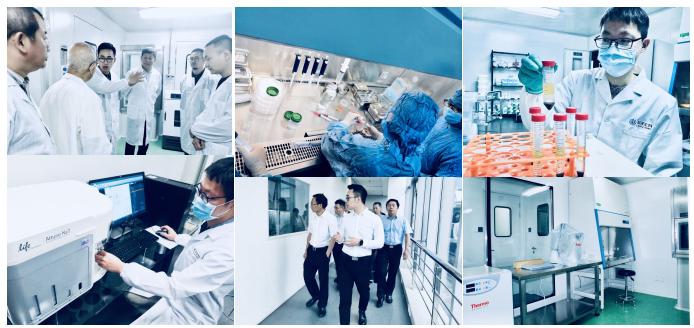 榮澤生物集團啟動IPO上市輔導,專注細胞與基因技術轉化