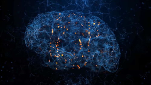 生物科技研發(fā)合成大腦技術,教會腦神經細胞玩電子游戲