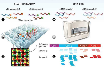 微流控自動化技術革新RNA-Seq文庫構建流程 --- FLUIDIGM發(fā)布更高效、更節(jié)約成本的Advanta RNA-Seq NGS 文庫構建解決方案