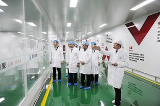 江蘇漢皇印象,用科技創(chuàng)造美的源動(dòng)力