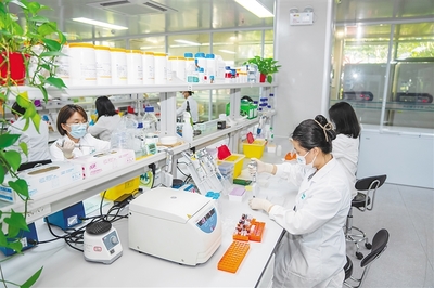 三亞崖州灣科技城開發(fā)建設5年來累計招引企業(yè)破萬家
