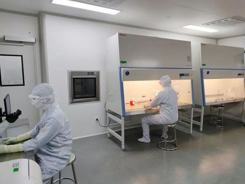 肝衰竭患者的福音 中國首個生物人工肝核心組件獲批臨床試驗