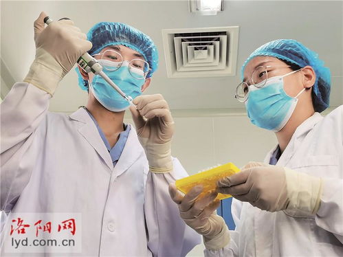 洛陽(yáng)惠中生物技術(shù) 研發(fā)高端疫苗產(chǎn)品 為畜牧業(yè)保駕護(hù)航