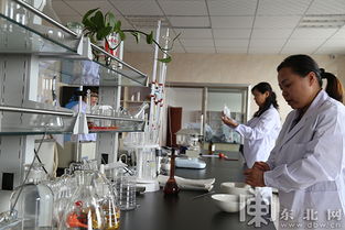 生物發(fā)酵讓玉米瓤子變廢為寶 助力我省農(nóng)業(yè)轉(zhuǎn)型升級(jí)